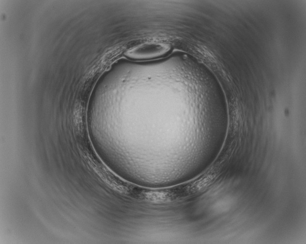 X0000056030265200509021829