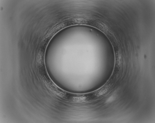 X0000056030266200509021829