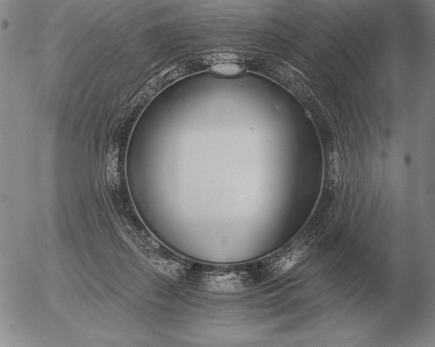 X0000056030267200509021829