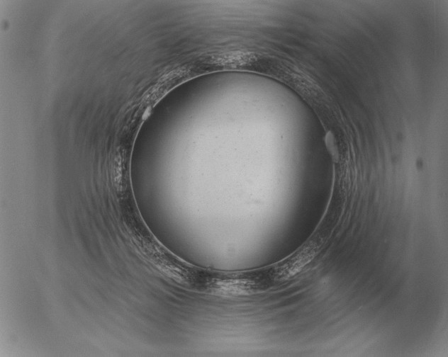 X0000056030268200509021829