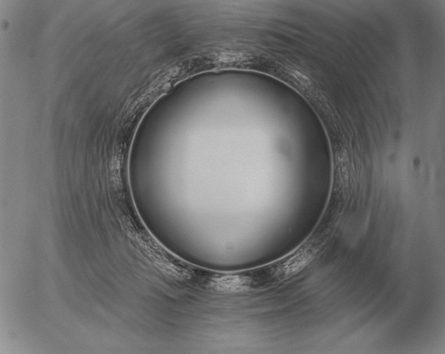 X0000056030269200509021829