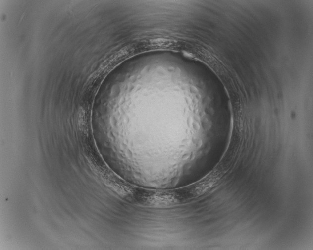 X0000056030270200509021829