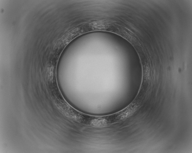 X0000056030271200509021829