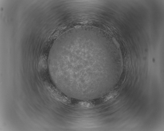 X0000056030272200509021829