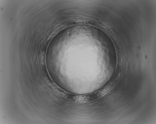 X0000056030273200509021829