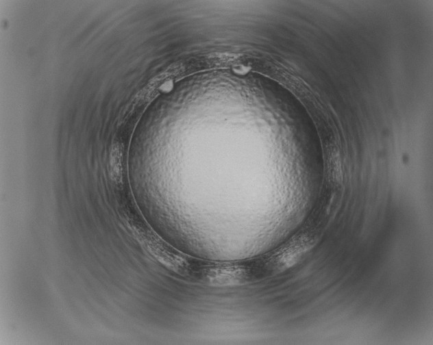 X0000056030274200509021829