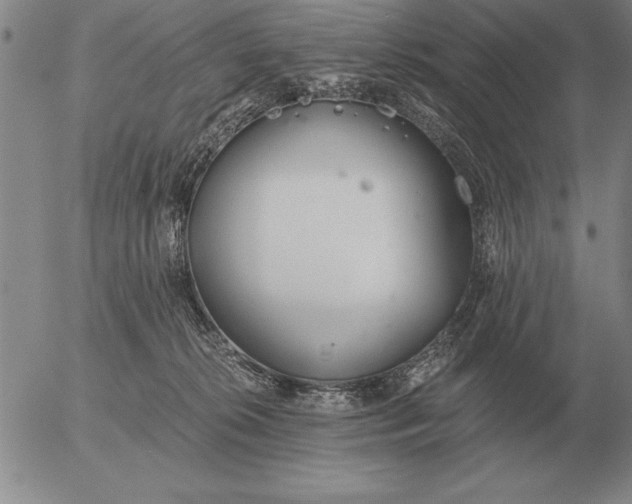 X0000056030276200509021829