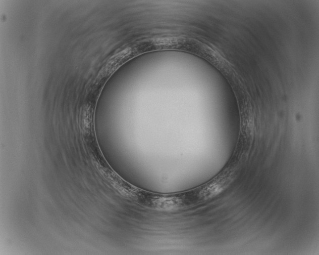 X0000056030277200509021829