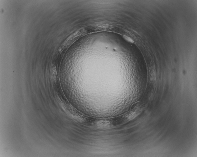 X0000056030279200509021829