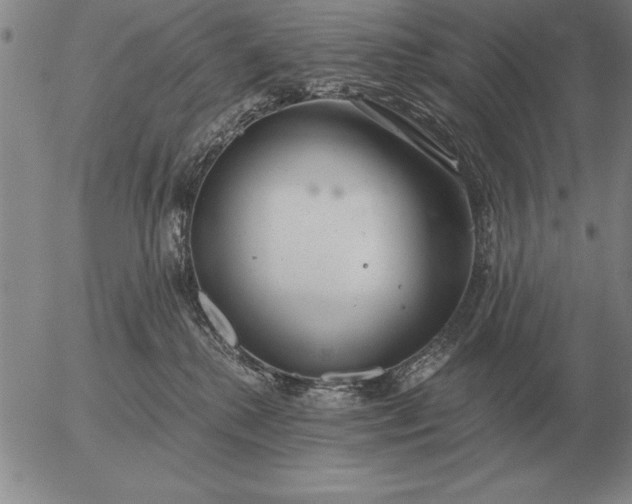 X0000056030280200509021829