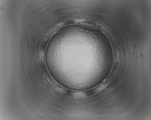 X0000056030281200509021830