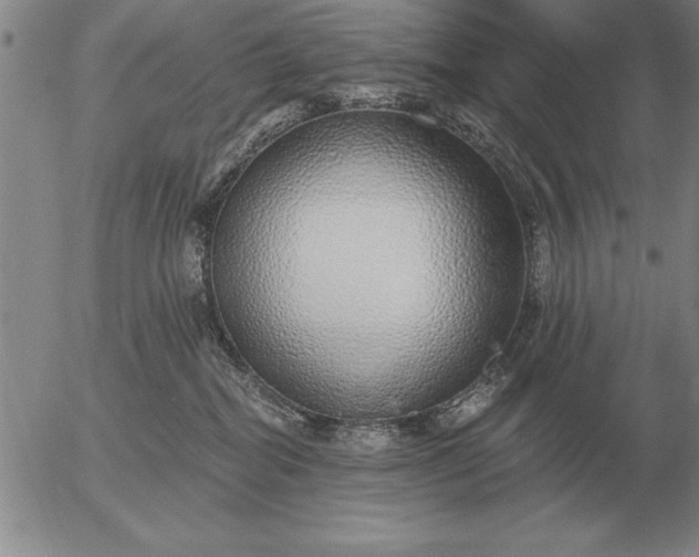 X0000056030282200509021830