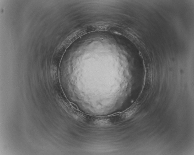 X0000056030283200509021830