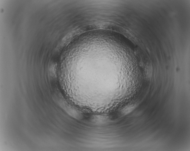 X0000056030286200509021830