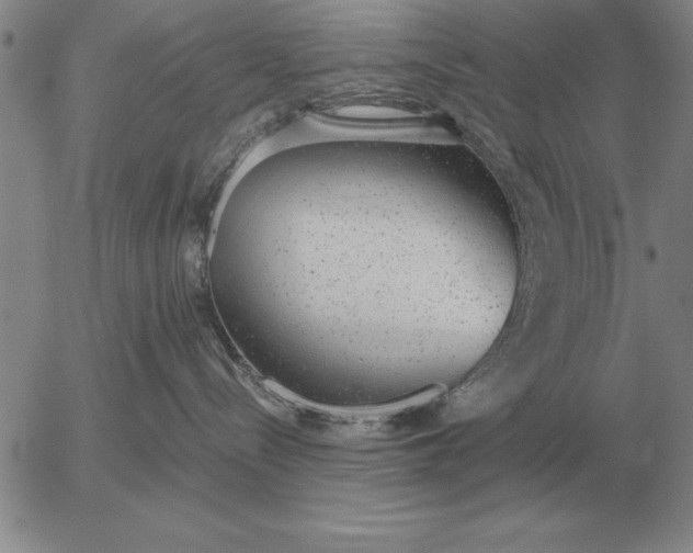 X0000056030288200509021830