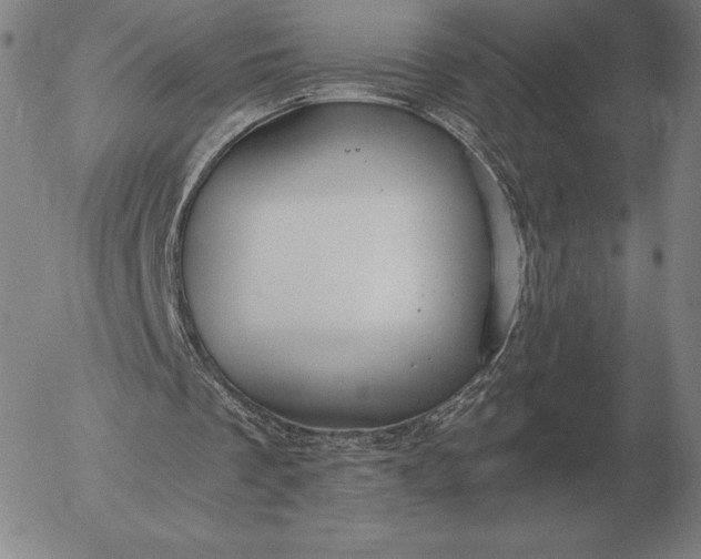 X0000056030289200509021829