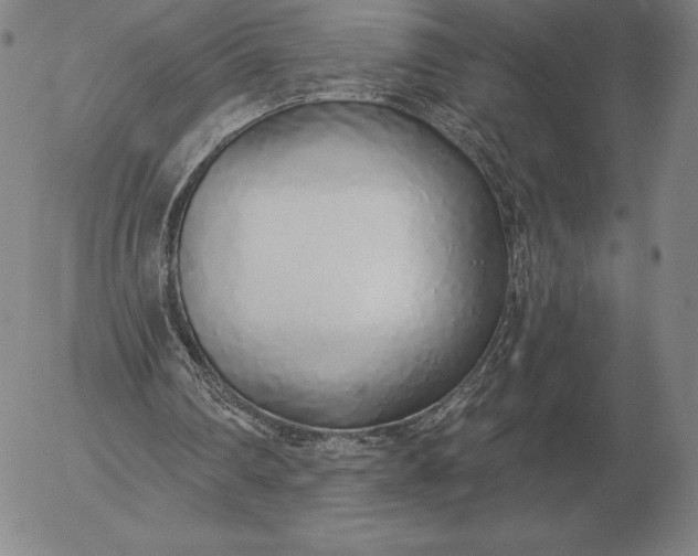 X0000056030290200509021829