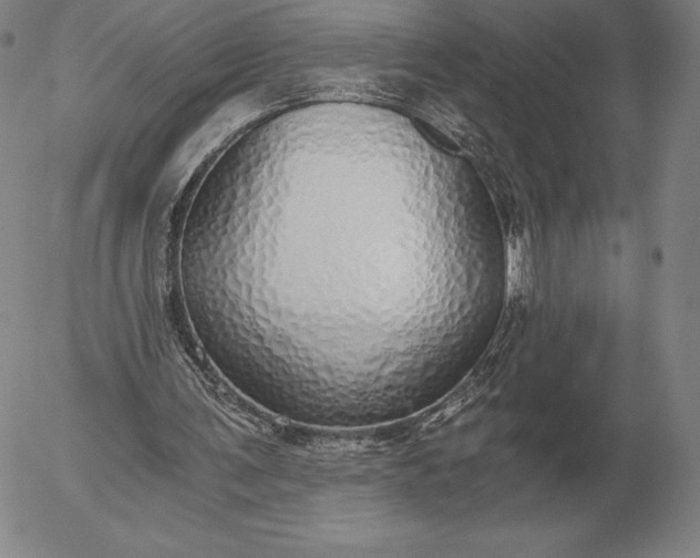 X0000056030291200509021829