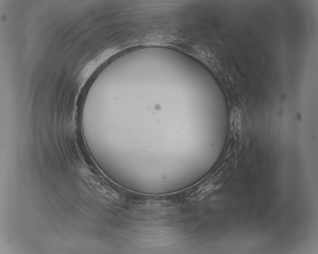 X0000056030292200509021829