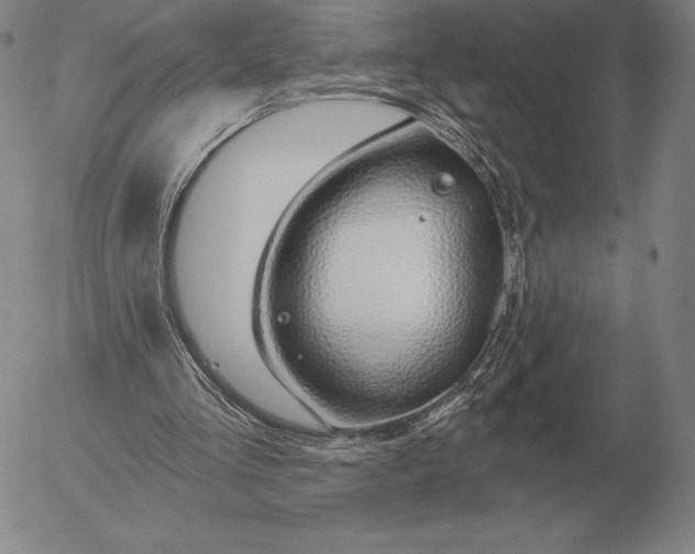 X0000056030293200509021829