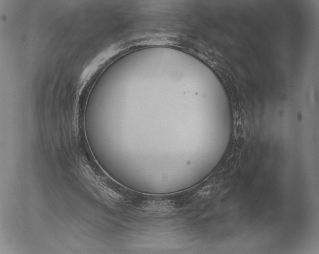 X0000056030296200509021829