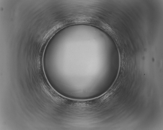 X0000056030298200509021829