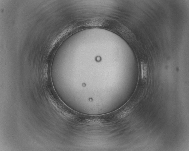 X0000056030300200509021829