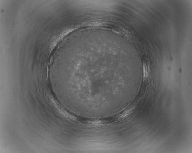 X0000056030301200509021829