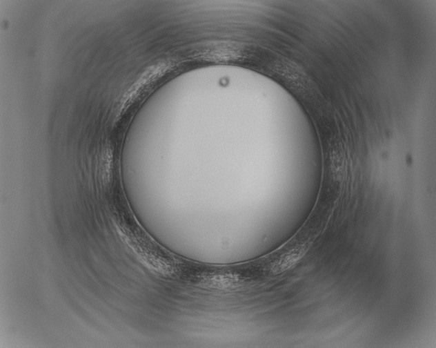 X0000056030304200509021829