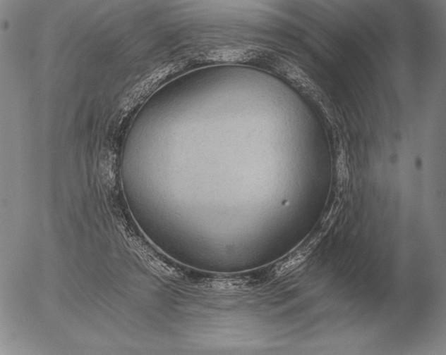 X0000056030305200509021829