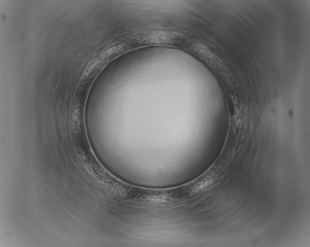 X0000056030306200509021829