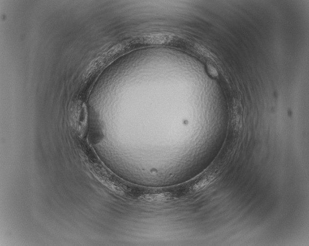 X0000056030307200509021829