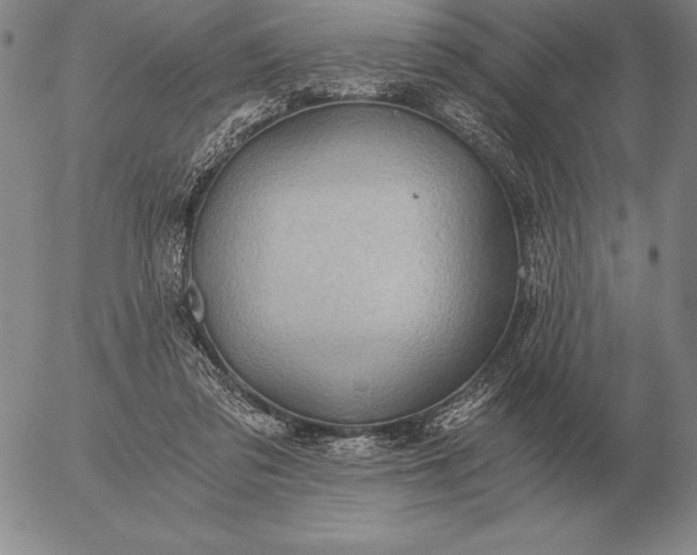 X0000056030309200509021829