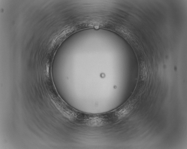 X0000056030310200509021828