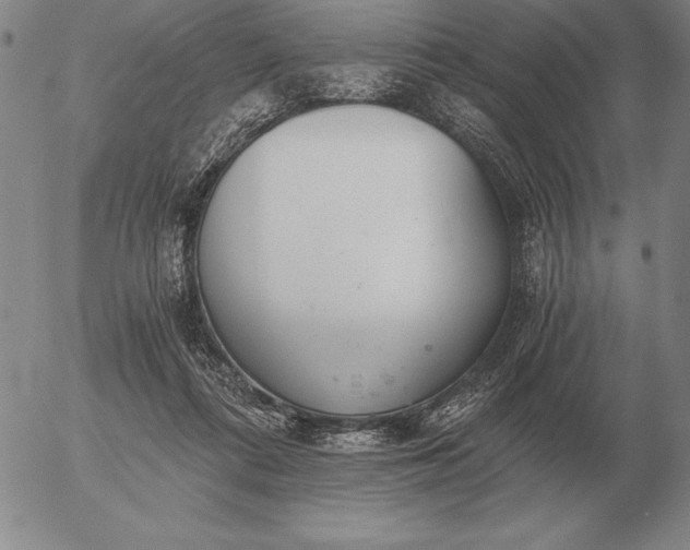 X0000056030312200509021828