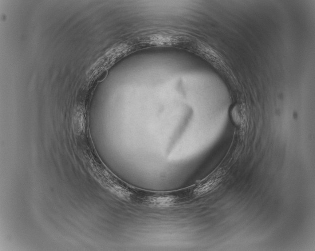 X0000056030313200509021828