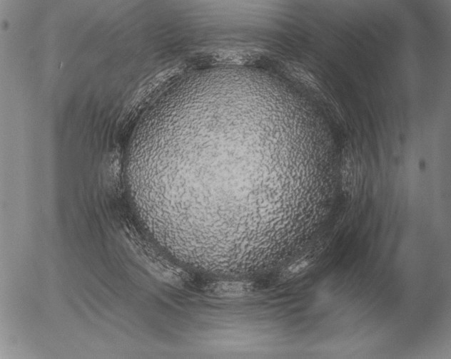 X0000056030314200509021828