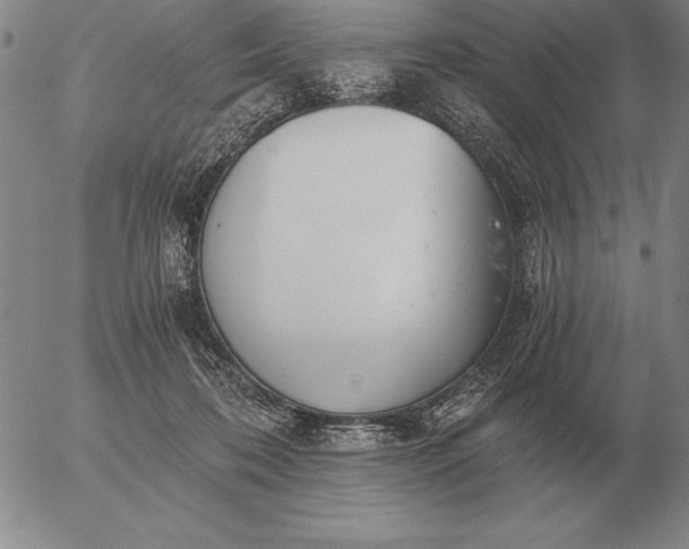 X0000056030316200509021828