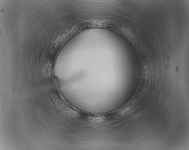 X0000056030318200509021828