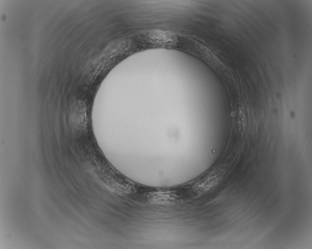 X0000056030320200509021828