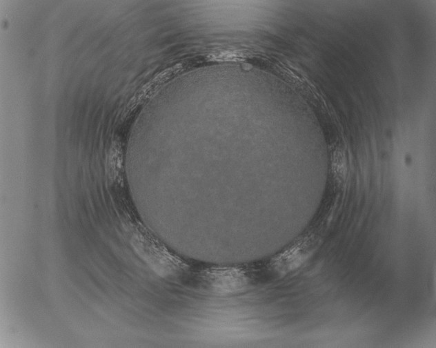 X0000056030322200509021828