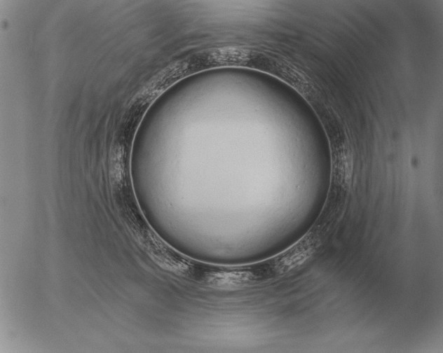 X0000056030323200509021828