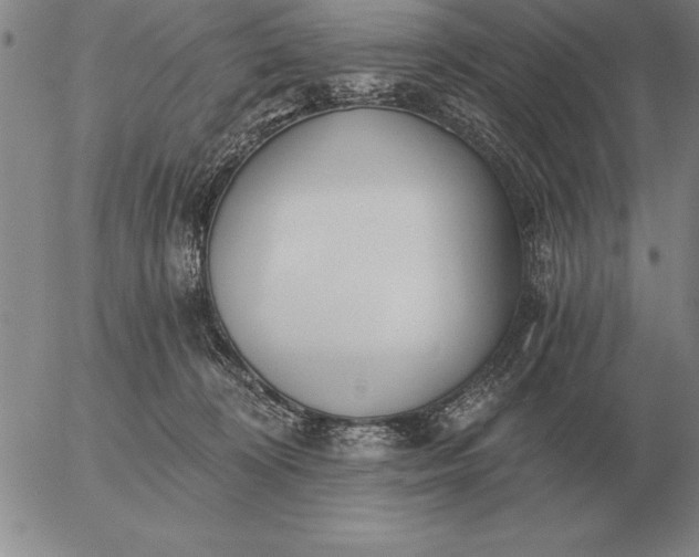 X0000056030324200509021828