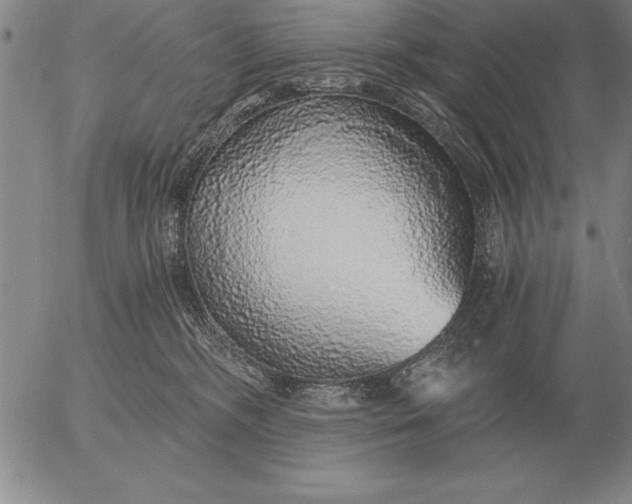 X0000056030326200509021828