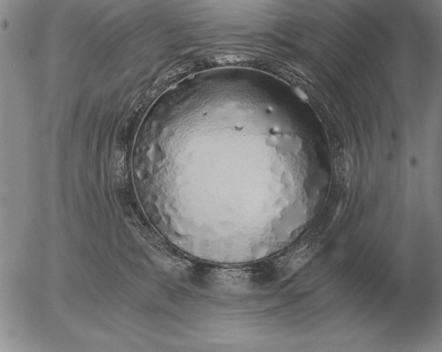 X0000056030327200509021828