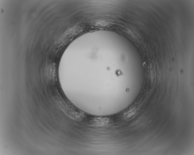 X0000056030328200509021828