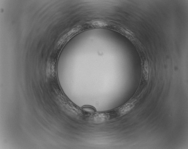 X0000056030330200509021828