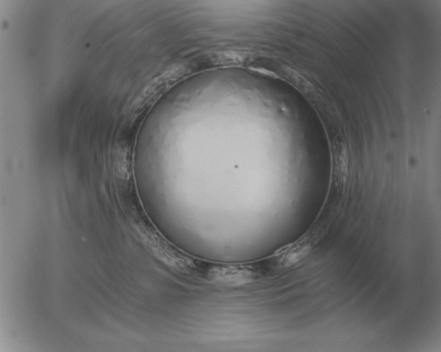 X0000056030331200509021828