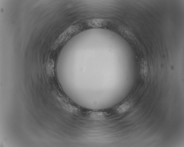 X0000056030332200509021828