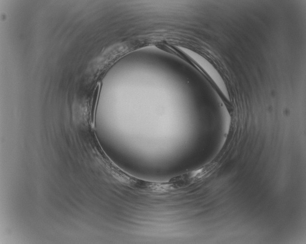 X0000056030333200509021828